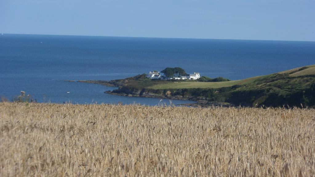 Wild Air Guest House Mevagissey Exterior foto